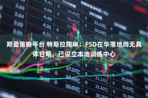 期盈策略平台 特斯拉陶琳：FSD在华落地尚无具体日期，已设立本地训练中心