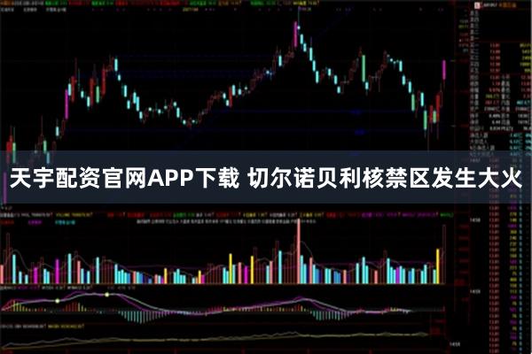 天宇配资官网APP下载 切尔诺贝利核禁区发生大火